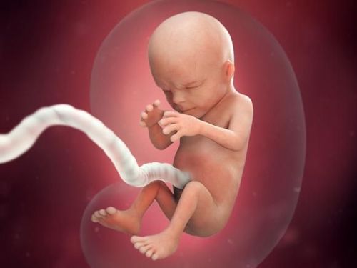Bác sĩ sử dụng các xét nghiệm hình ảnh để chẩn đoán bệnh thoát vị não ở thai nhi
