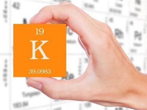 Results of the electrolyte panel help determine serum potassium levels