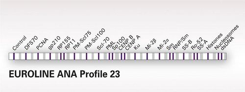 Xét nghiệm 23 kháng thể kháng nhân (ANA 23 Profile)