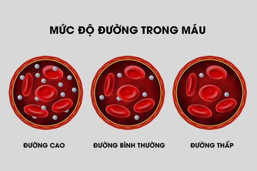 13 loại thực phẩm có hàm lượng calo thấp đáng ngạc nhiên