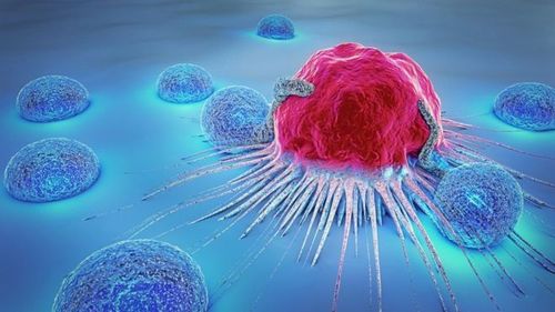 TMI thực hiện phân tích các gene liên quan tới 11 loại ung thư phổ biến