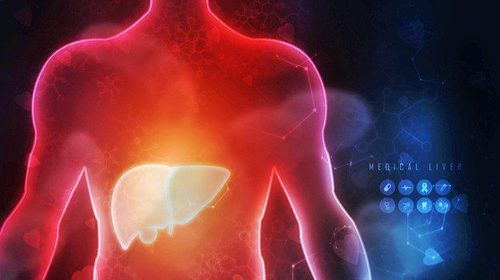 Tình trạng kháng insulin và tiểu đường có thể khiến chức năng gan suy giảm