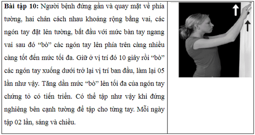 Bài tập 10