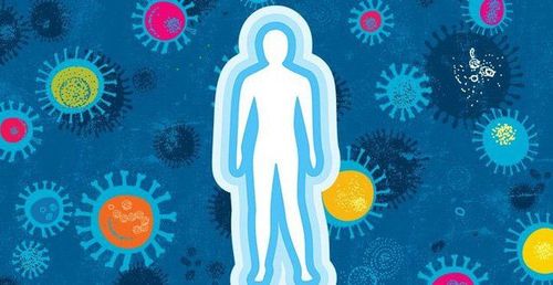 
Một số loại virus có thể tấn công hệ thống miễn dịch ở người và gây ung thư
