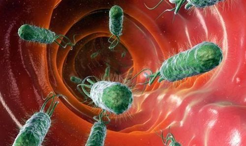 
Trẻ em là đối tượng dễ nhiễm H. pylori
