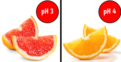 Oranges have a relatively high acidity level.
