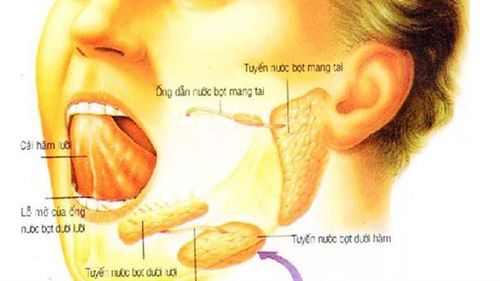 Đa số các khối u tuyến nước bọt là lành tính và xảy ra ở tuyến nước bọt mang tai
