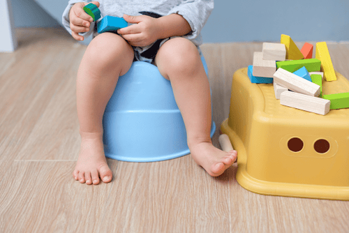 Một số trẻ 18 tháng tuổi đã sẵn sàng để bắt đầu quá trình tập đi vệ sinh