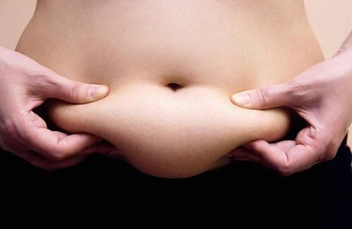 Modifying protein intake every meal to burn belly fat