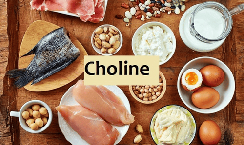 Tìm hiểu về tác dụng của cholin