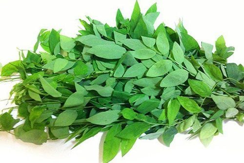 Can pregnant women eat Katuk leaves?