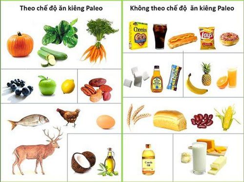 So sánh thực phẩm trong chế độ ăn kiêng Paleo