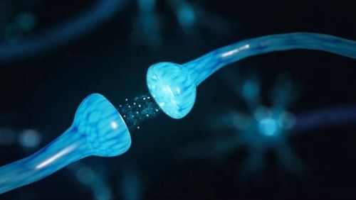 Thuốc Dopamin có tác dụng tăng co bóp cơ tim