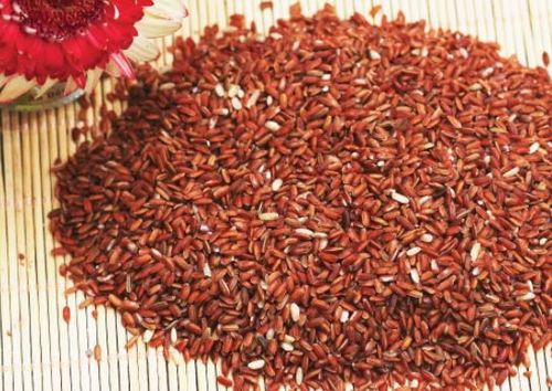 Gạo lứt có hàm lượng chất xơ cao và có tác dụng giảm cân