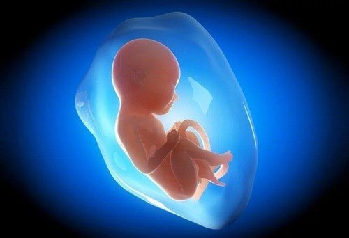 Thai nhi 24 tuần da bụng mỏng và bụng không được tròn có sao không?