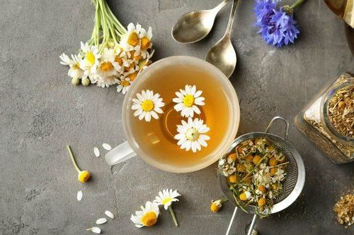 Trà hoa cúc là một thức uống có lợi cho hệ tiêu hóa