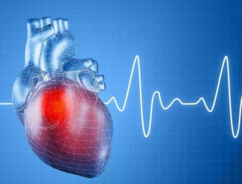 Nhịp tim là số lần tim bạn đập trong 1 phút.
