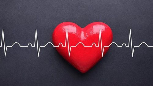 Nhịp tim khi nghỉ ngơi ở hầu hết mọi người là 60 - 100 nhịp/phút