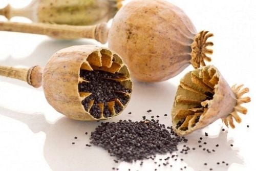 6 Outstanding Benefits of Poppy Seeds