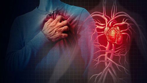 Tác động của sự lão hoá ảnh hưởng đến hệ tim mạch
