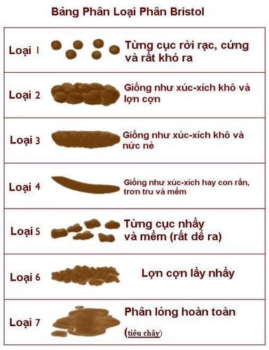 Thang phân loại Bristol