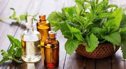 Thuốc Therapeutic không sử dụng cho người bị dị ứng với tinh dầu bạc hà