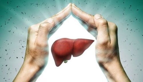 Some experiments indicate that DHMBA from oysters is especially beneficial for liver health.