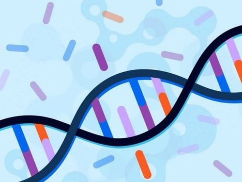 What Are Genetic Factors or Genes?