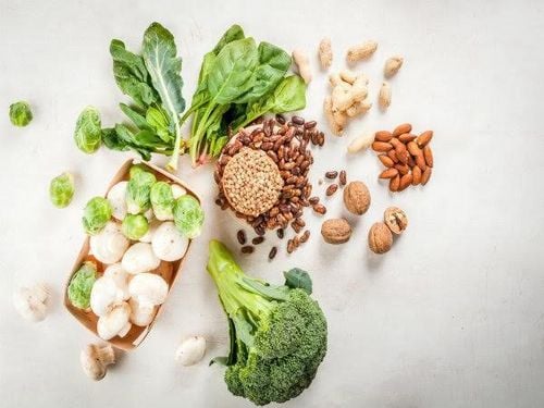15 Most Protein-Rich Vegetables