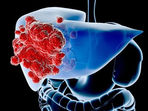 Sự sống sót của tế bào ung thư gan mật tụy không phụ thuộc vào tín hiệu protein thụ thể ron