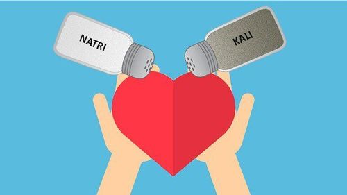 
Muối trong cơ thể được tồn tại dưới dạng ion
