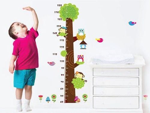 
Tình trạng suy dinh dưỡng của trẻ mầm non được phân loại và đánh giá dựa trên nhiều tiêu chí
