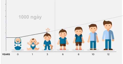 The height of Vietnamese people has been gradually improving over time