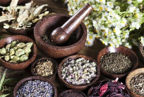 Phương pháp chữa thiểu năng tuần hoàn não bằng đông y được nhiều người quan tâm