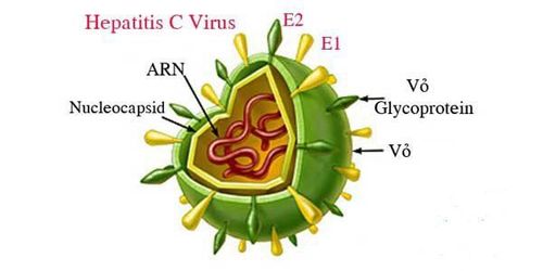 
Nhiễm virus viêm gan c có thể dẫn đến nguy cơ đái tháo đường
