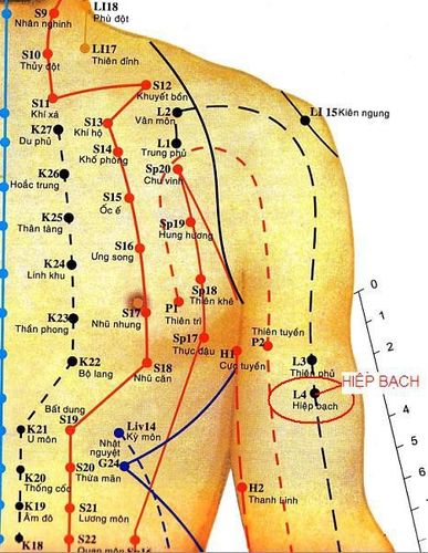 Huyệt hiệp bạch nằm ở mặt trong của cánh tay