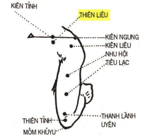 Huyệt Thiên Liêu cần được xác định vị trí chính xác