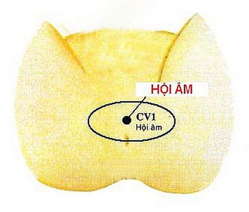 Huyệt hội âm ở nữ có một số công dụng trong điều trị bệnh phụ khoa