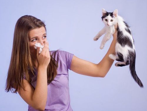 Tổn thương phổi do động vật là nguyên nhân thường gặp