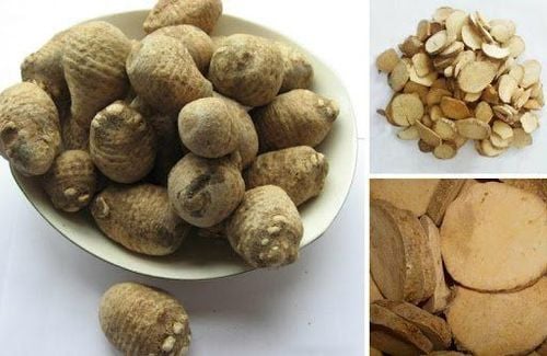Cây trạch tả là dược liệu lành tính không chứa độc