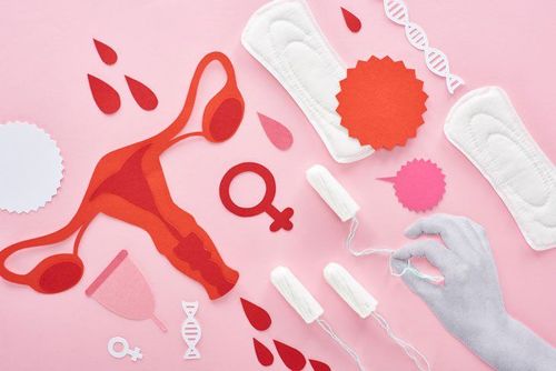
Chu kỳ kinh nguyệt và sức khỏe sinh sản có mối liên hệ chặt chẽ với nhau
