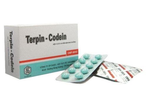 Terpin-Codein belongs to the category of cough and cold medications
