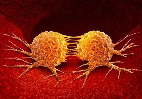 How long can cancer progress without you knowing?