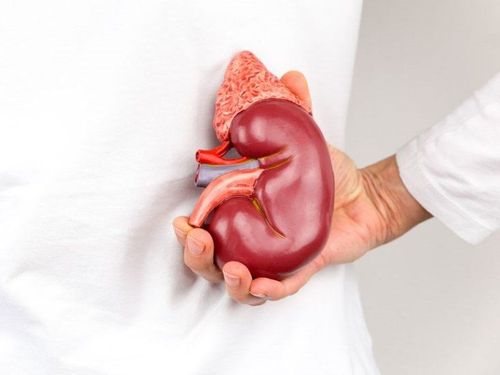 Chỉ số eGFR 79,5 có thấp không?