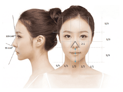 Sơ đồ thể hiện dáng mũi lý tưởng
