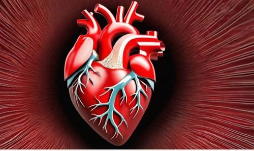 
Nhịn ăn ảnh hưởng đến tim và huyết áp nếu không có kế hoạch khoa học
