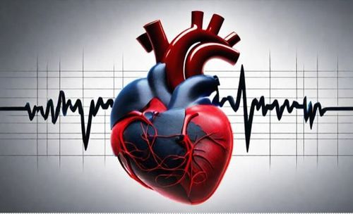 Cách tim mạch và huyết áp hoạt động như thế nào?
