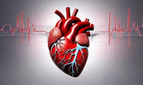 Chụp CT là một biện pháp chẩn đoán các vấn đề tim mạch hiệu quả