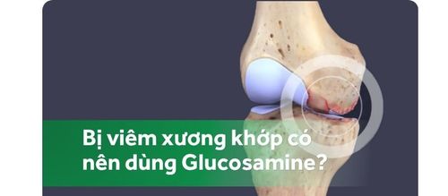 Người bị viêm xương khớp có nên dùng glucosamine?