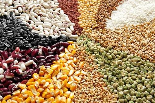 Cereals can relieve headache